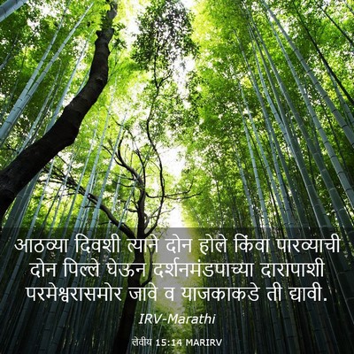 Picture 03 - लेवीय 15:14 MARIRV - आठव्या दिवशी - Bible Verse Picture