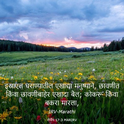 Picture 03 - लेवीय 17:3 MARIRV - इस्राएल - Bible Verse Picture