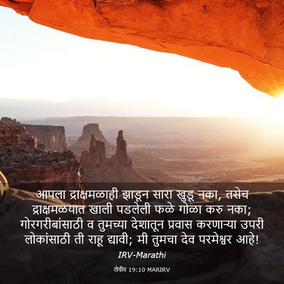Picture 03 - लेवीय 19:10 MARIRV - आपला द्राक्षमळाही - Bible Verse Picture
