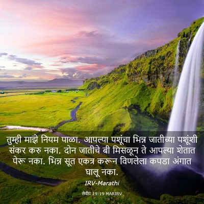 Picture 03 - लेवीय 19:19 MARIRV - तुम्ही माझे नियम - Bible Verse Picture