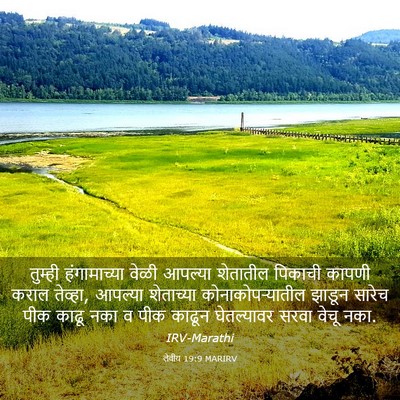 Picture 03 - लेवीय 19:9 MARIRV - तुम्ही हंगामाच्या - Bible Verse Picture