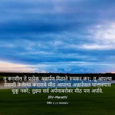 Picture 03 - लेवीय 2:13 MARIRV - तू करशील ते - Bible Verse Picture