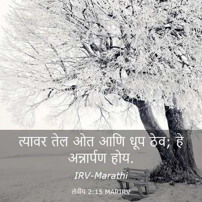 Picture 03 - लेवीय 2:15 MARIRV - त्यावर तेल ओत आणि - Bible Verse Picture