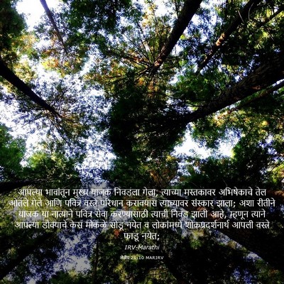 Picture 03 - लेवीय 21:10 MARIRV - आपल्या भावांतून - Bible Verse Picture