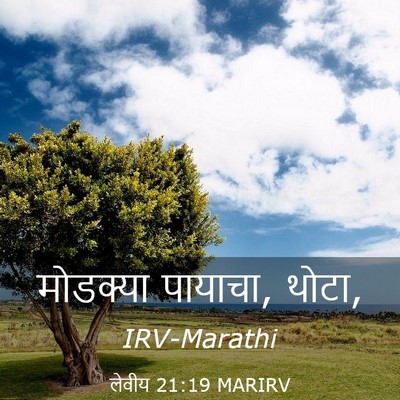 Picture 03 - लेवीय 21:19 MARIRV - मोडक्या पायाचा, - Bible Verse Picture