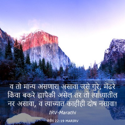 Picture 03 - लेवीय 22:19 MARIRV - व तो मान्य असणारा - Bible Verse Picture