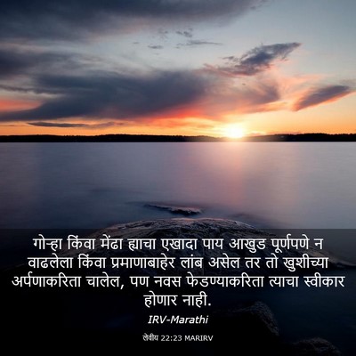Picture 03 - लेवीय 22:23 MARIRV - गोऱ्हा किंवा - Bible Verse Picture