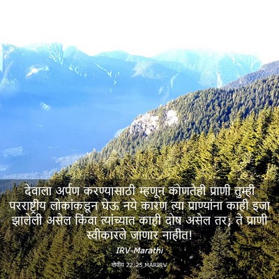 Picture 03 - लेवीय 22:25 MARIRV - देवाला अर्पण - Bible Verse Picture