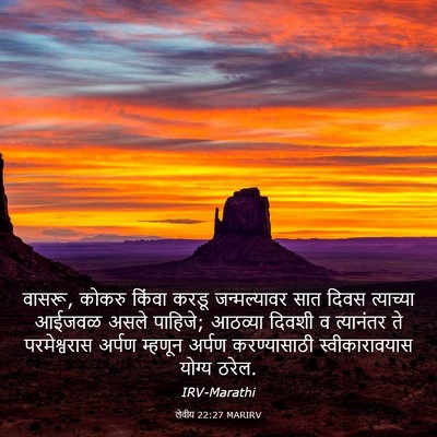 Picture 03 - लेवीय 22:27 MARIRV - वासरू, कोकरु किंवा - Bible Verse Picture