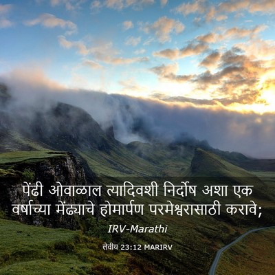 Picture 03 - लेवीय 23:12 MARIRV - पेंढी ओवाळाल - Bible Verse Picture