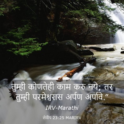 Picture 03 - लेवीय 23:25 MARIRV - तुम्ही कोणतेही - Bible Verse Picture