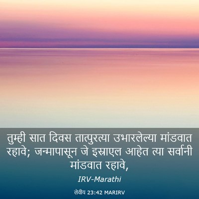 Picture 03 - लेवीय 23:42 MARIRV - तुम्ही सात दिवस - Bible Verse Picture
