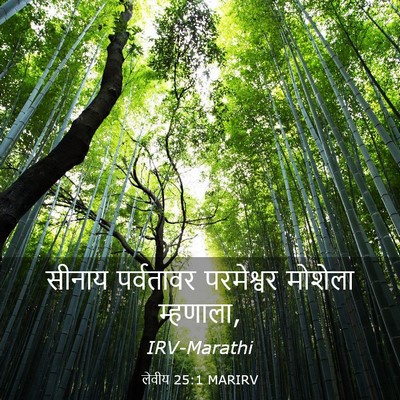 Picture 03 - लेवीय 25:1 MARIRV - सीनाय पर्वतावर - Bible Verse Picture