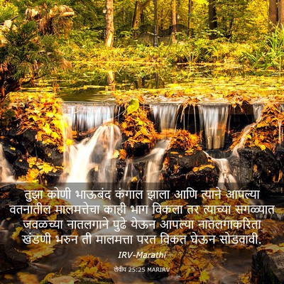 Picture 03 - लेवीय 25:25 MARIRV - तुझा कोणी भाऊबंद - Bible Verse Picture