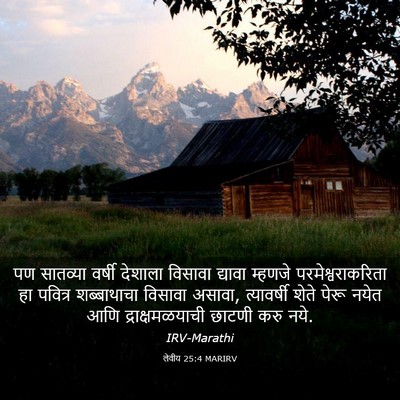 Picture 03 - लेवीय 25:4 MARIRV - पण सातव्या वर्षी - Bible Verse Picture