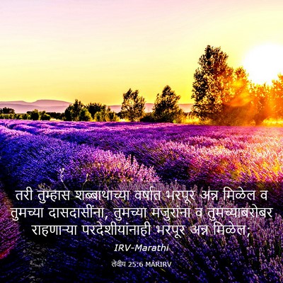 Picture 03 - लेवीय 25:6 MARIRV - तरी तुम्हास - Bible Verse Picture