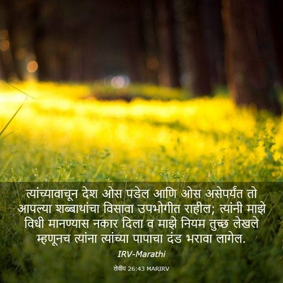 Picture 03 - लेवीय 26:43 MARIRV - त्यांच्यावाचून - Bible Verse Picture