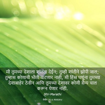 Picture 03 - लेवीय 26:6 MARIRV - मी तुमच्या देशाला - Bible Verse Picture