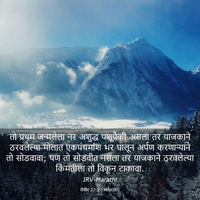 Picture 03 - लेवीय 27:27 MARIRV - तो प्रथम जन्मलेला - Bible Verse Picture