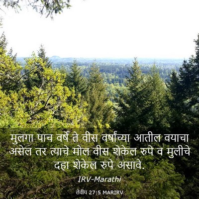 Picture 03 - लेवीय 27:5 MARIRV - मुलगा पाच वर्षे ते - Bible Verse Picture