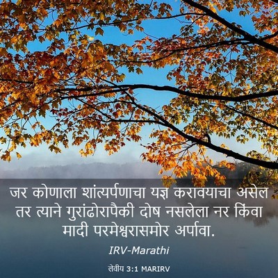 Picture 03 - लेवीय 3:1 MARIRV - जर कोणाला - Bible Verse Picture