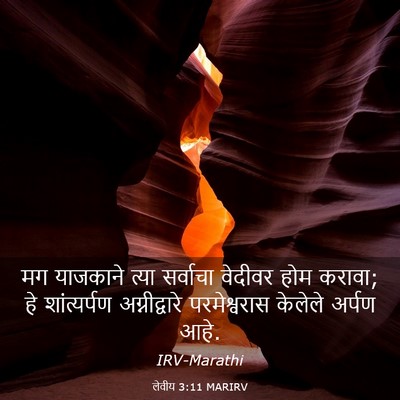 Picture 03 - लेवीय 3:11 MARIRV - मग याजकाने त्या - Bible Verse Picture