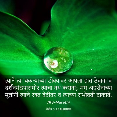 Picture 03 - लेवीय 3:13 MARIRV - त्याने त्या - Bible Verse Picture