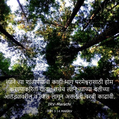 Picture 03 - लेवीय 3:14 MARIRV - त्याने त्या - Bible Verse Picture