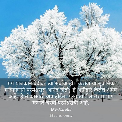Picture 03 - लेवीय 3:16 MARIRV - मग याजकाने वेदीवर - Bible Verse Picture