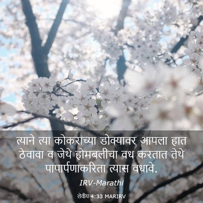 Picture 03 - लेवीय 4:33 MARIRV - त्याने त्या - Bible Verse Picture