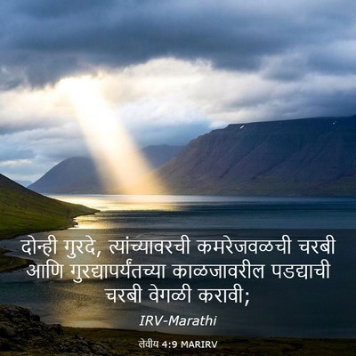 Picture 03 - लेवीय 4:9 MARIRV - दोन्ही गुरदे, - Bible Verse Picture
