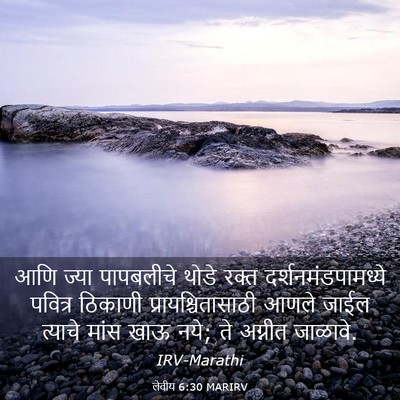Picture 03 - लेवीय 6:30 MARIRV - आणि ज्या पापबलीचे - Bible Verse Picture