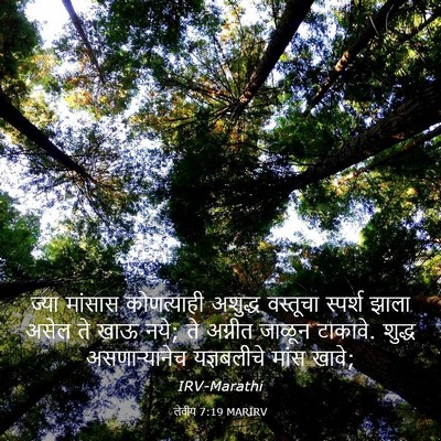 Picture 03 - लेवीय 7:19 MARIRV - ज्या मांसास - Bible Verse Picture