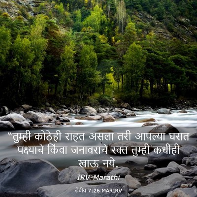 Picture 03 - लेवीय 7:26 MARIRV - “तुम्ही कोठेही - Bible Verse Picture