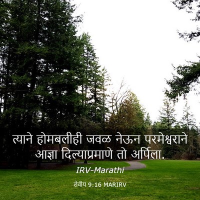 Picture 03 - लेवीय 9:16 MARIRV - त्याने होमबलीही - Bible Verse Picture