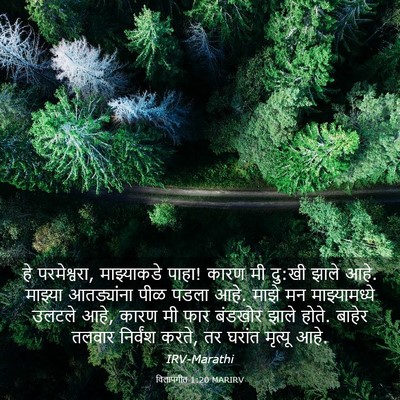 Picture 03 - विलापगीत 1:20 MARIRV - हे परमेश्वरा, - Bible Verse Picture
