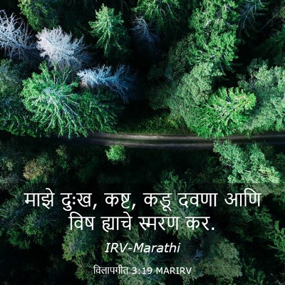 Picture 03 - विलापगीत 3:19 MARIRV - माझे दुःख, कष्ट, - Bible Verse Picture