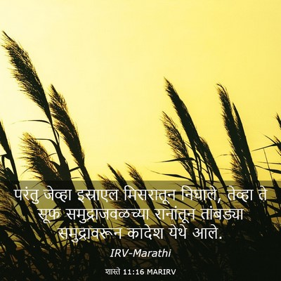 Picture 03 - शास्ते 11:16 MARIRV - परंतु जेव्हा - Bible Verse Picture