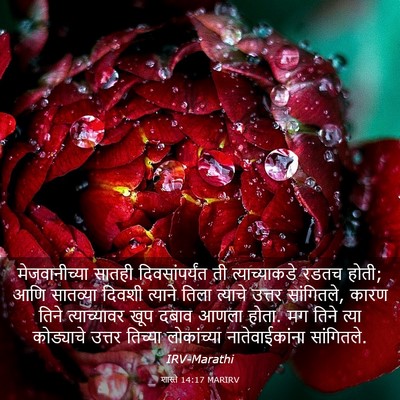 Picture 03 - शास्ते 14:17 MARIRV - मेजवानीच्या सातही - Bible Verse Picture