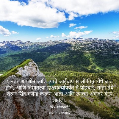 Picture 03 - शास्ते 14:5 MARIRV - यानंतर शमशोन आणि - Bible Verse Picture