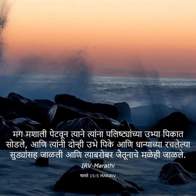 Picture 03 - शास्ते 15:5 MARIRV - मग मशाली पेटवून - Bible Verse Picture