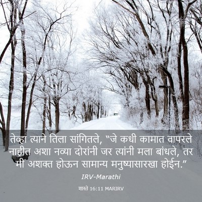 Picture 03 - शास्ते 16:11 MARIRV - तेव्हा त्याने - Bible Verse Picture