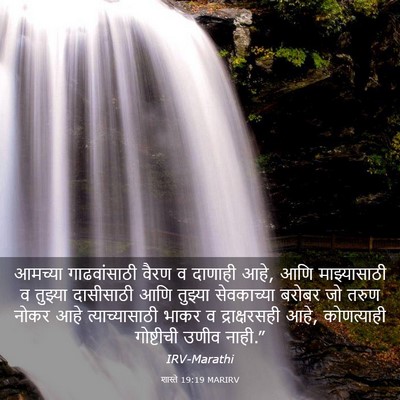 Picture 03 - शास्ते 19:19 MARIRV - आमच्या गाढवांसाठी - Bible Verse Picture