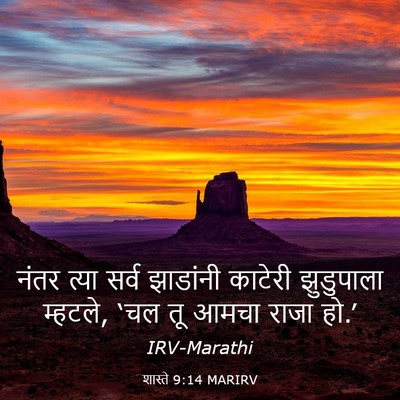 Picture 03 - शास्ते 9:14 MARIRV - नंतर त्या सर्व - Bible Verse Picture