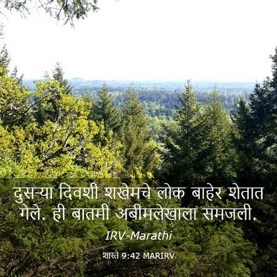 Picture 03 - शास्ते 9:42 MARIRV - दुसऱ्या दिवशी - Bible Verse Picture