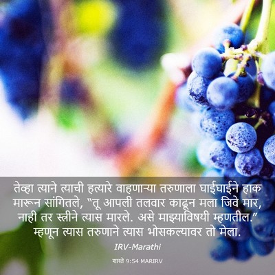 Picture 03 - शास्ते 9:54 MARIRV - तेव्हा त्याने - Bible Verse Picture