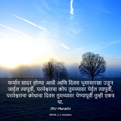 Picture 03 - सफन्या 2:2 MARIRV - फर्मान सादर - Bible Verse Picture