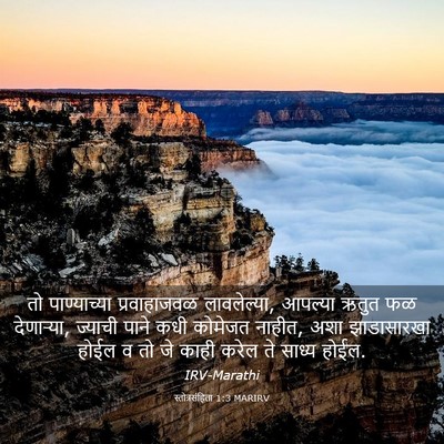 Picture 03 - स्तोत्रसंहिता 1:3 MARIRV - तो पाण्याच्या - Bible Verse Picture