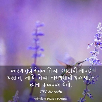 Picture 03 - स्तोत्रसंहिता 102:14 MARIRV - कारण तुझे सेवक - Bible Verse Picture
