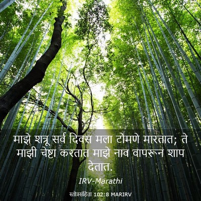 Picture 03 - स्तोत्रसंहिता 102:8 MARIRV - माझे शत्रू सर्व - Bible Verse Picture